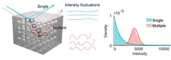 Single-frame statistical gating in a speckle pattern generated by the dynamic scattering in disordered medium