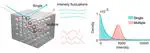 Single-frame statistical gating in a speckle pattern generated by the dynamic scattering in disordered medium